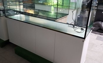 Swisstropicalfish GmbH