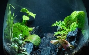 AEP Concept Sàrl / Swiss Aqua Shop