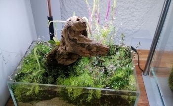 AEP Concept Sàrl / Swiss Aqua Shop