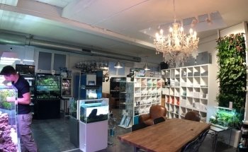 AEP Concept Sàrl / Swiss Aqua Shop