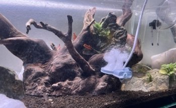 AEP Concept Sàrl / Swiss Aqua Shop