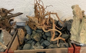 AEP Concept Sàrl / Swiss Aqua Shop