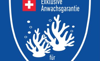 Swiss Coral Alliance - Private Korallen Zucht - Meerwasser Aquaristik