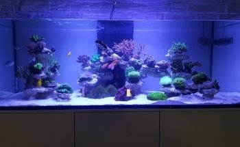 Aquariumtechnik.ch