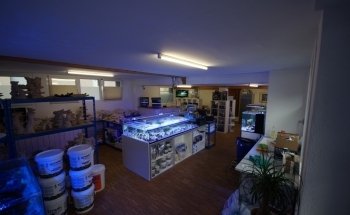 Aquariumtechnik.ch