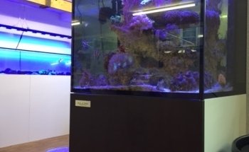Aquariumtechnik.ch