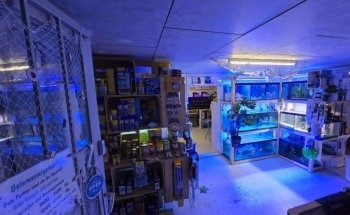 Jardín Submarino Tanner