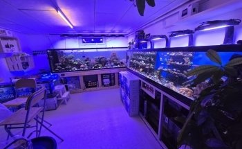 Unterwassergarten Tanner