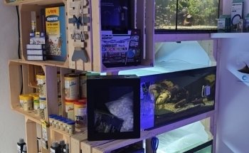 Unterwassergarten Tanner