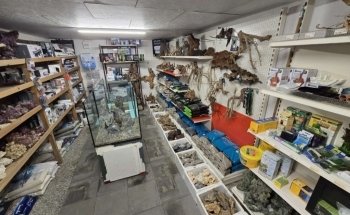 Unterwassergarten Tanner