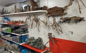 Unterwassergarten Tanner