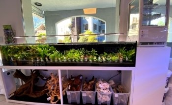 Reefolution Aquaristik