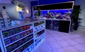 Reefolution Aquaristik