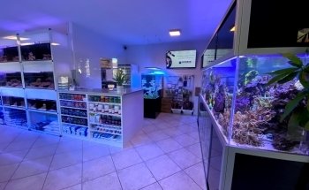 Reefolution Aquaristik