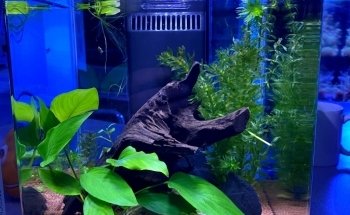 Reefolution Aquaristik