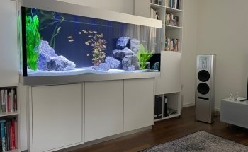 Fessler Schreinerei & Aquaristik