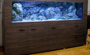 Fessler Schreinerei & Aquaristik
