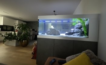 Fessler Schreinerei & Aquaristik