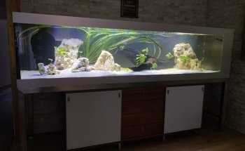 Fessler Schreinerei & Aquaristik