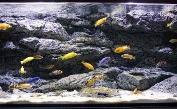 Fessler Carpintería & Acuarística