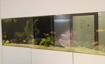 Fessler Schreinerei & Aquaristik