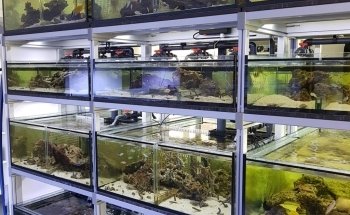 Aquarium Systems Technology AG