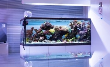 Aquarium Systems Technology AG