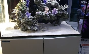 Aquarium Systems Technology AG