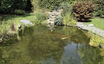 leman aquatique sàrl