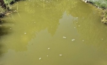 leman aquatique sàrl