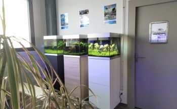 leman aquatique sàrl