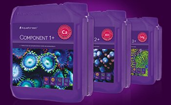 Coral Farm Switzerland Sàrl