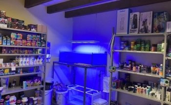 Coral Farm Switzerland Sàrl