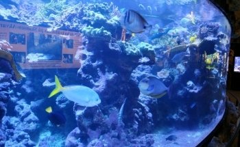 Skansen Aquarium
