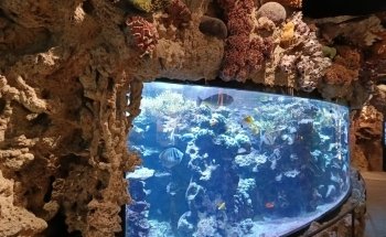Skansen Aquarium