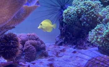 Maritime Museum & Aquarium