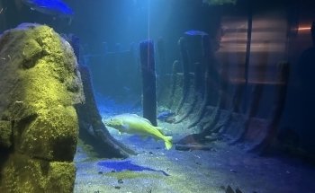 Baltic Sea Science Center