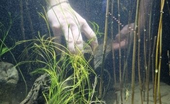 Baltic Sea Science Center