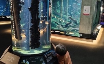 Baltic Sea Science Center