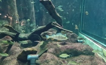 Baltic Sea Science Center