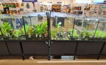 Rilo Zoopermarket AB