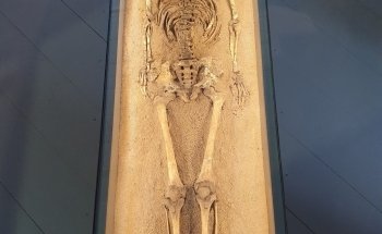 Vänermuseet