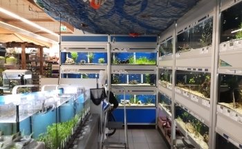 Pet's Royal ZOOFACHHANDEL