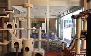 Djurfavoriten