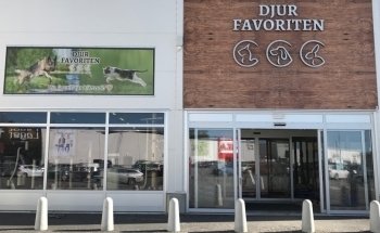Animal Favorites