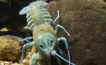 Vätternakvariet i Motala