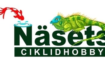 Näsets Ciklidhobby