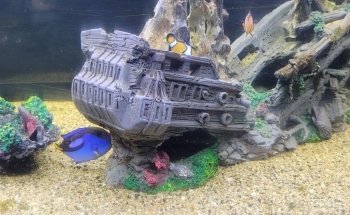 Aquarium Valparaiso
