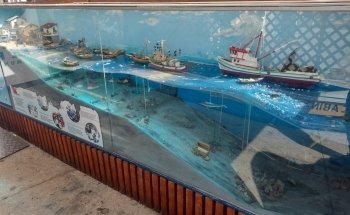 Aquarium Valparaiso