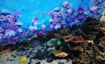 Aquarium Valparaiso
